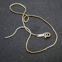 DSCN5155.jpg