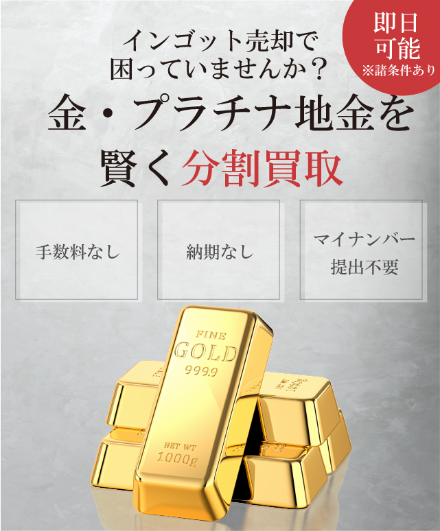 プラチナ スクラップ 12g